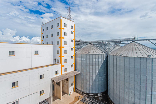 How to start a flour mill factory?