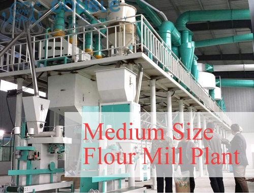 medium size flour mill plant