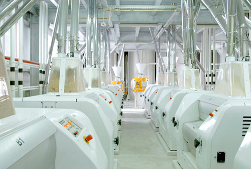 How to maintain the roller flour mill?