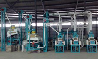 20t corn flour production line project