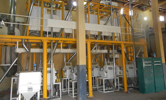 30 60t wheat flour production line project