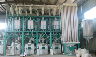 30t corn flour production line