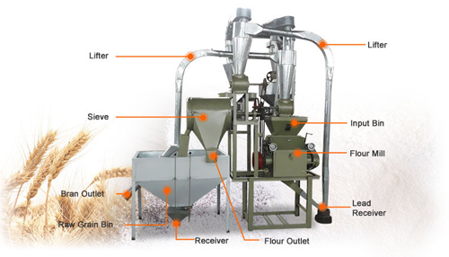 How does a flour mill process line produce flour?