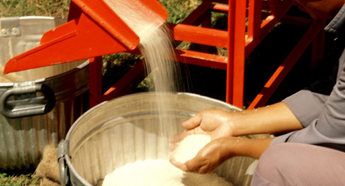 rice processing